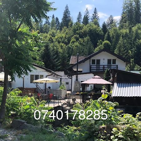 Villa Podul De Brazi - Fir Bridge Cîrţişoara Esterno foto