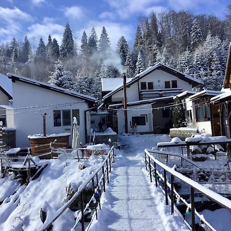 Villa Podul De Brazi - Fir Bridge Cîrţişoara Esterno foto