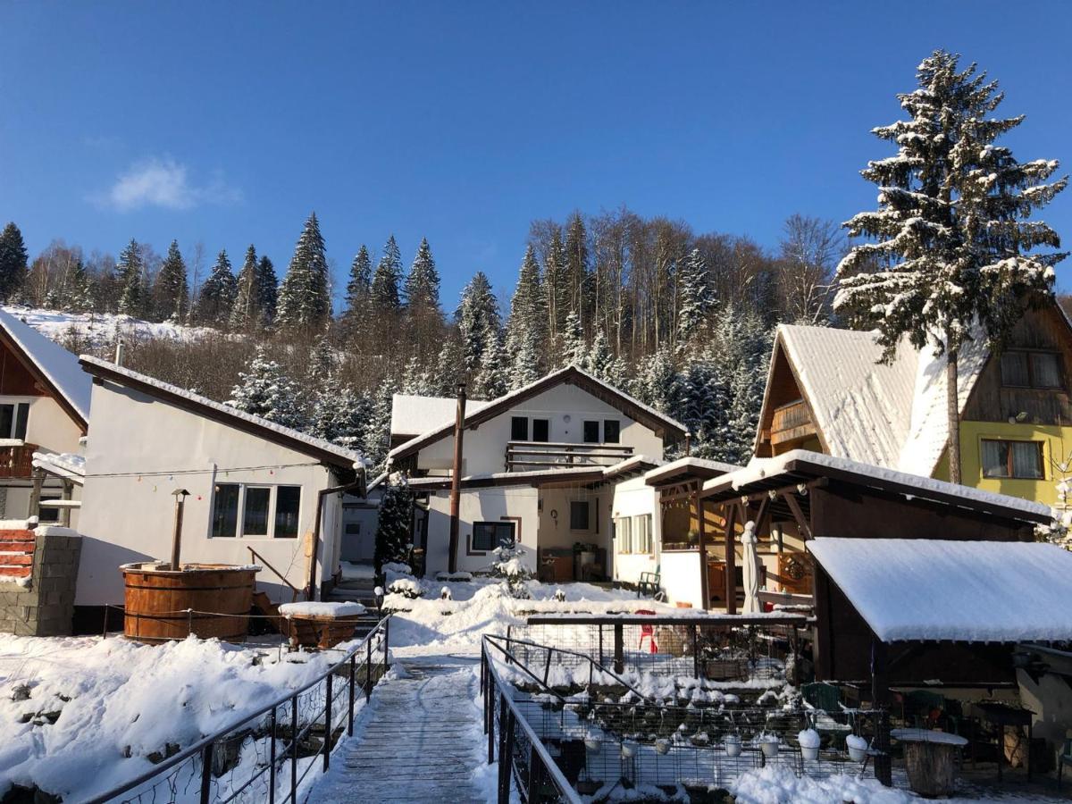 Villa Podul De Brazi - Fir Bridge Cîrţişoara Esterno foto