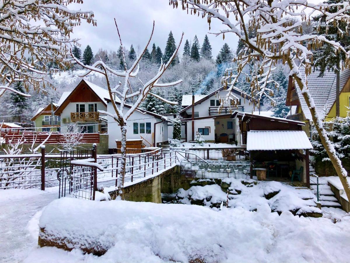Villa Podul De Brazi - Fir Bridge Cîrţişoara Esterno foto