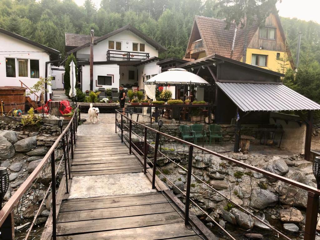 Villa Podul De Brazi - Fir Bridge Cîrţişoara Esterno foto