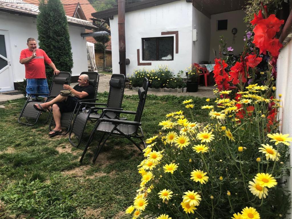 Villa Podul De Brazi - Fir Bridge Cîrţişoara Esterno foto