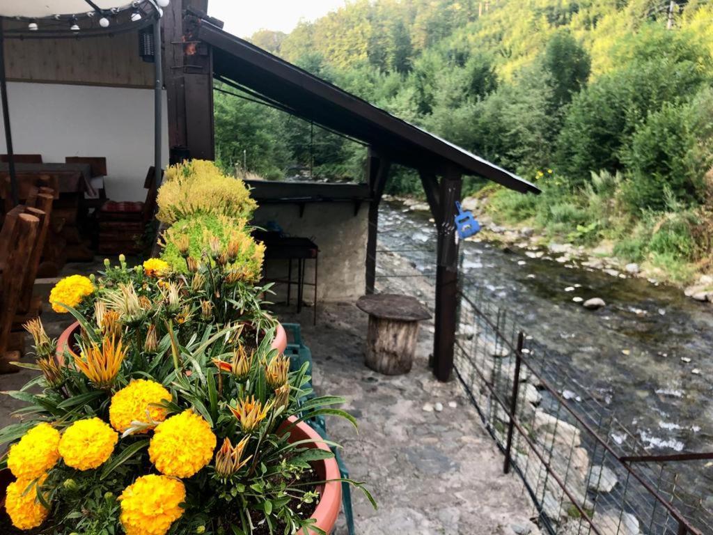 Villa Podul De Brazi - Fir Bridge Cîrţişoara Esterno foto