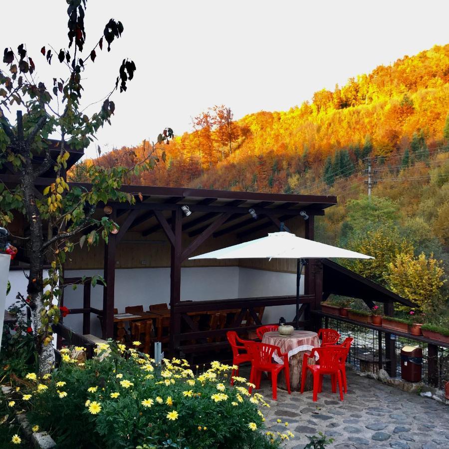 Villa Podul De Brazi - Fir Bridge Cîrţişoara Esterno foto
