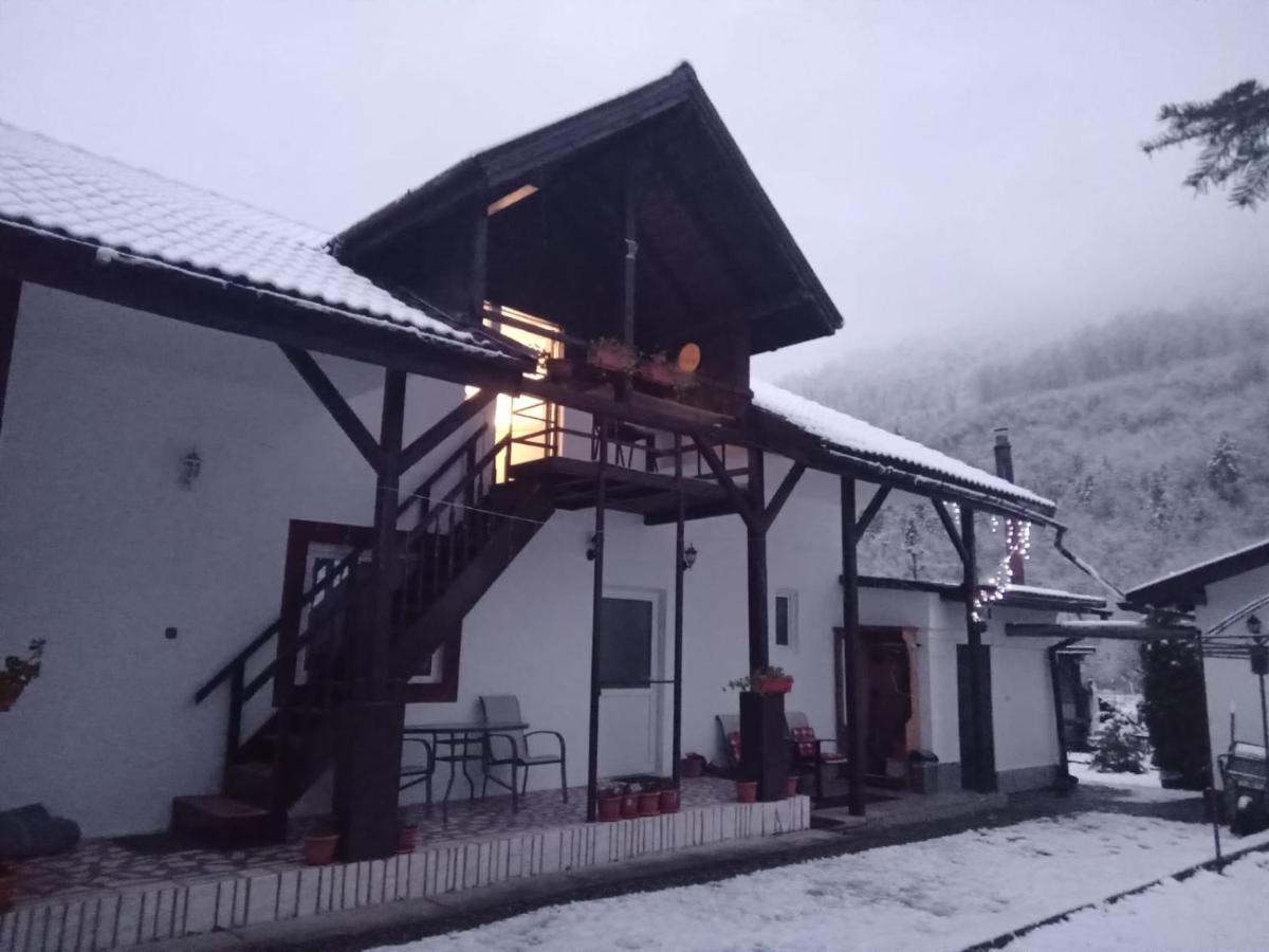 Villa Podul De Brazi - Fir Bridge Cîrţişoara Esterno foto