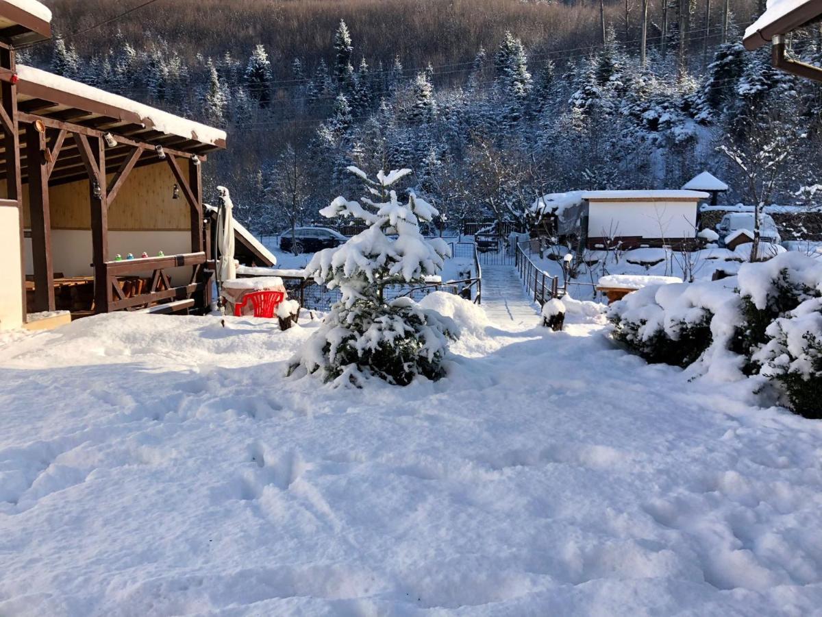 Villa Podul De Brazi - Fir Bridge Cîrţişoara Esterno foto