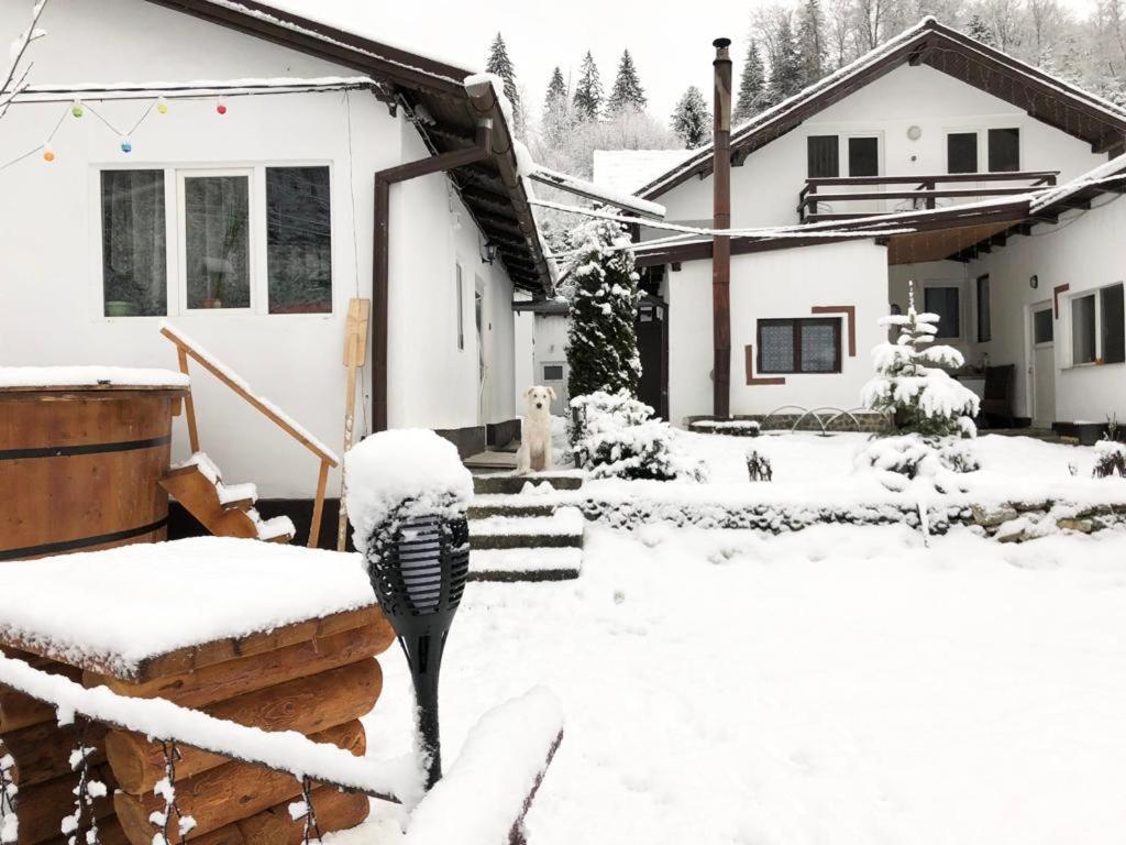 Villa Podul De Brazi - Fir Bridge Cîrţişoara Esterno foto