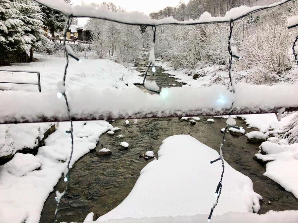 Villa Podul De Brazi - Fir Bridge Cîrţişoara Esterno foto