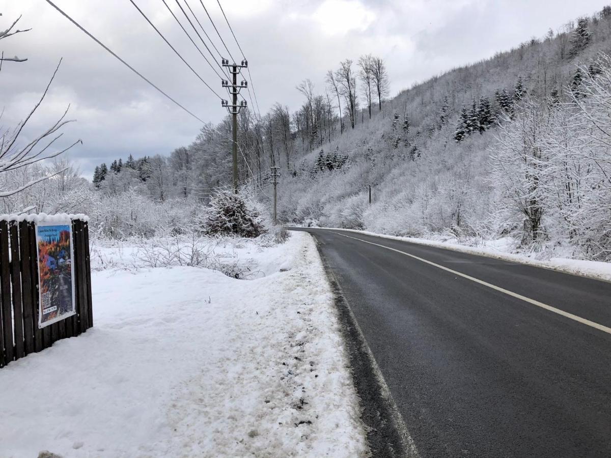 Villa Podul De Brazi - Fir Bridge Cîrţişoara Esterno foto