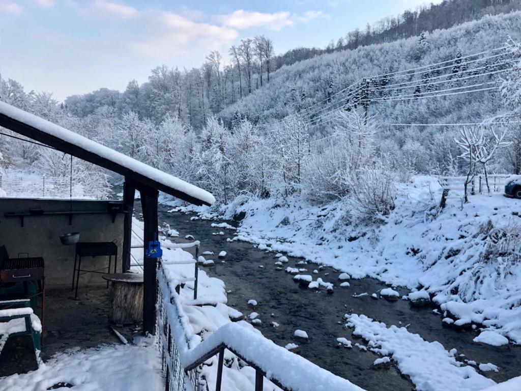 Villa Podul De Brazi - Fir Bridge Cîrţişoara Esterno foto