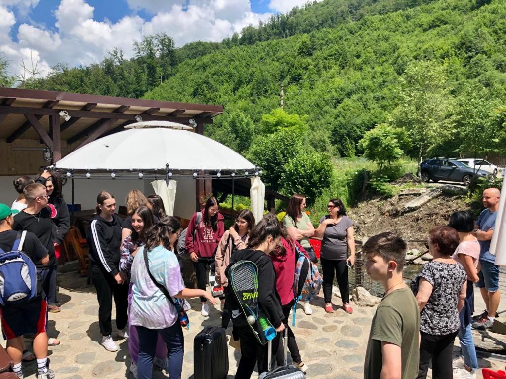Villa Podul De Brazi - Fir Bridge Cîrţişoara Esterno foto