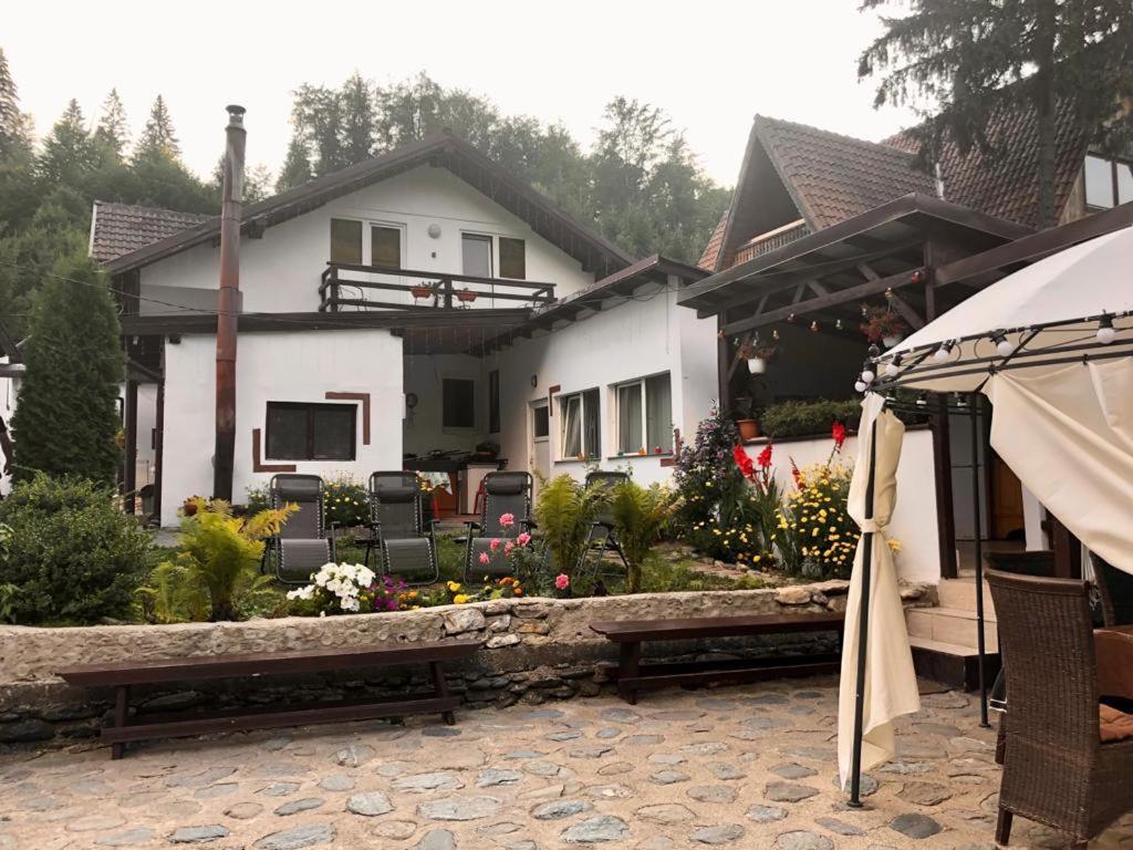Villa Podul De Brazi - Fir Bridge Cîrţişoara Esterno foto