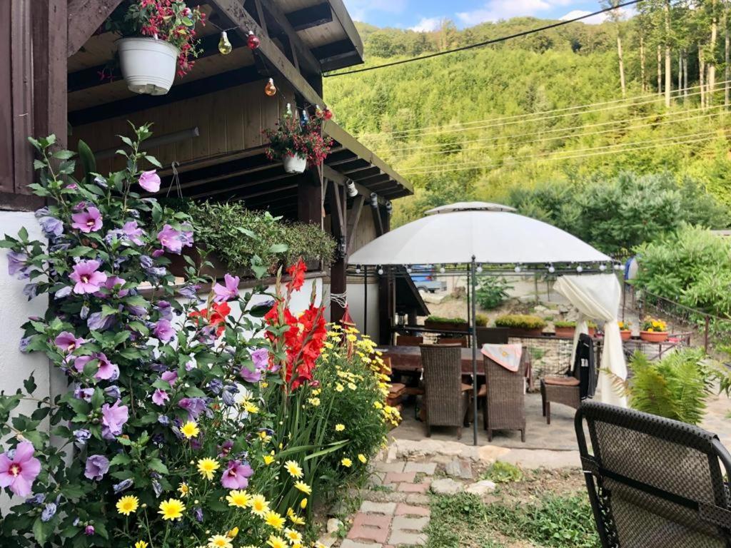 Villa Podul De Brazi - Fir Bridge Cîrţişoara Esterno foto