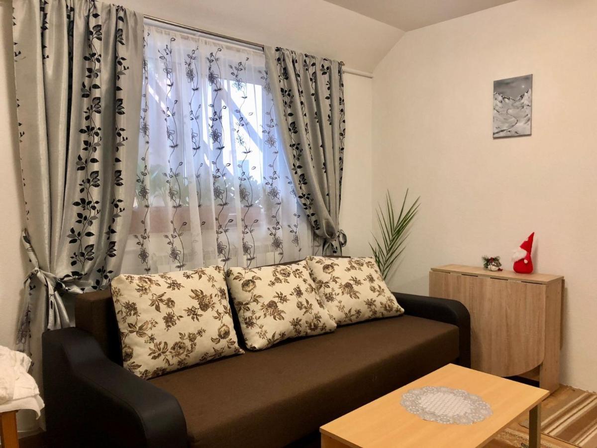 Villa Podul De Brazi - Fir Bridge Cîrţişoara Esterno foto
