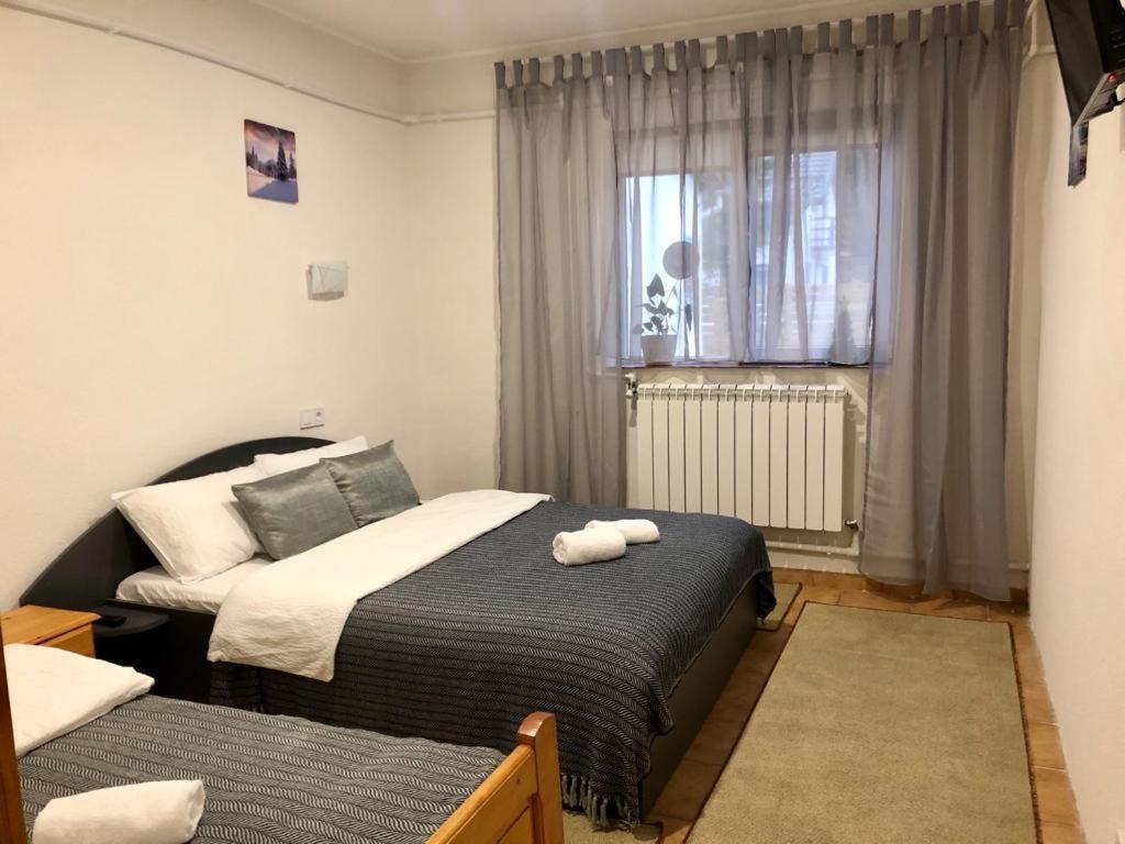 Villa Podul De Brazi - Fir Bridge Cîrţişoara Esterno foto