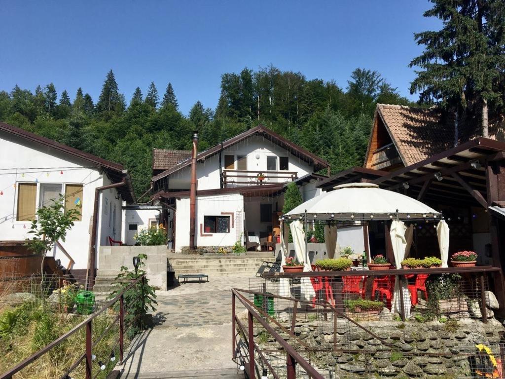 Villa Podul De Brazi - Fir Bridge Cîrţişoara Esterno foto