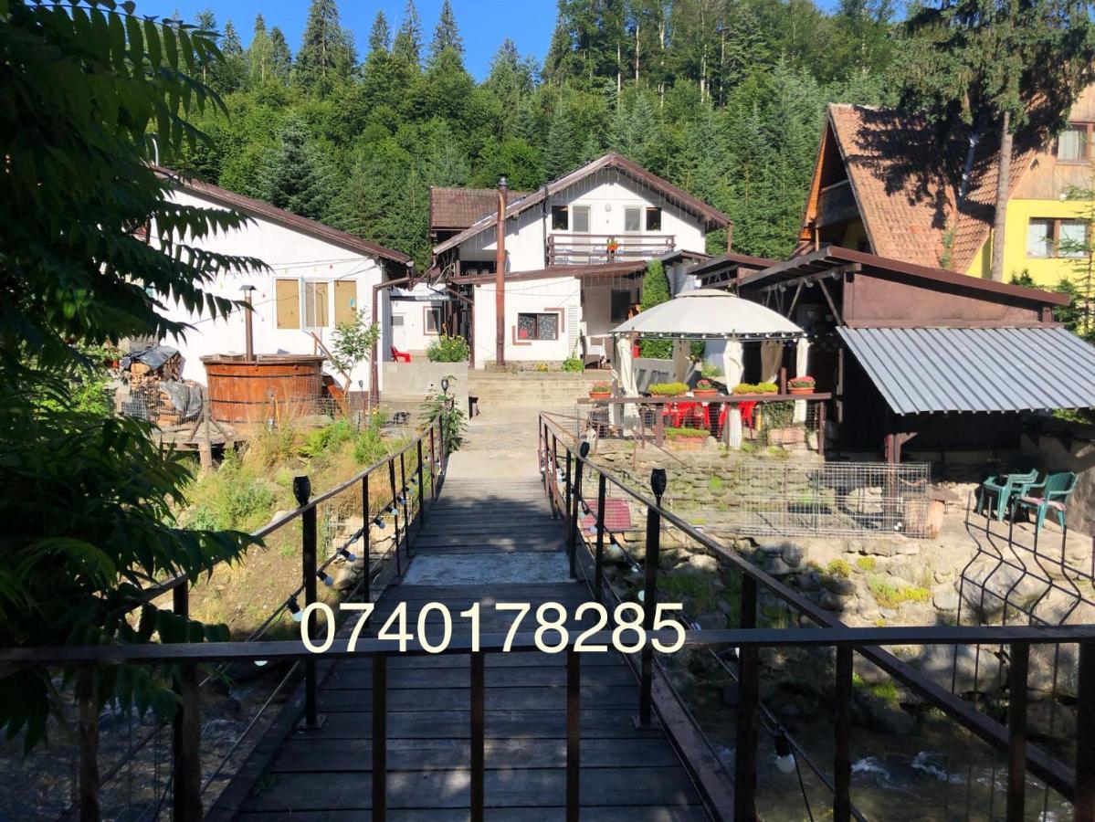 Villa Podul De Brazi - Fir Bridge Cîrţişoara Esterno foto