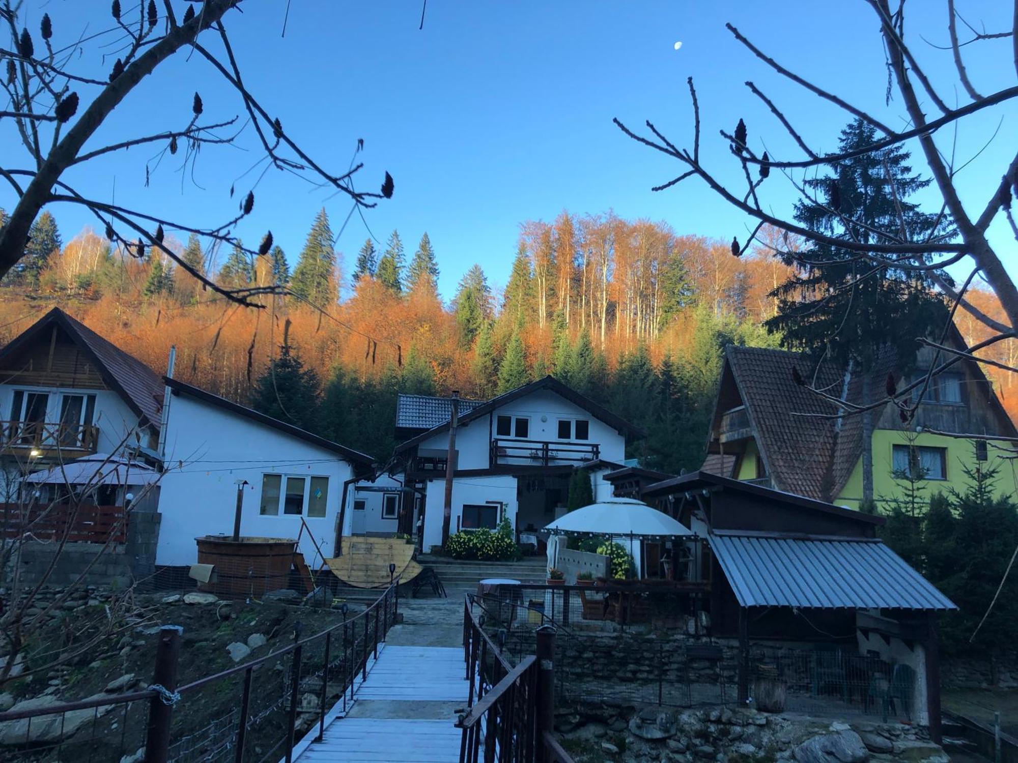 Villa Podul De Brazi - Fir Bridge Cîrţişoara Esterno foto
