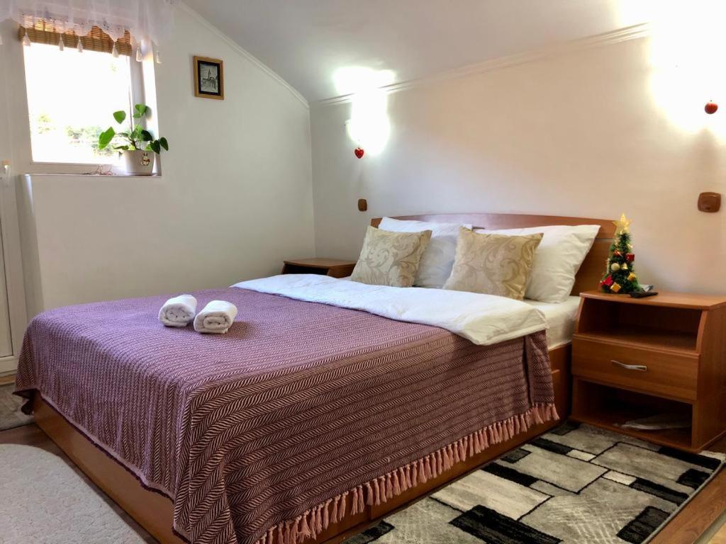 Villa Podul De Brazi - Fir Bridge Cîrţişoara Camera foto