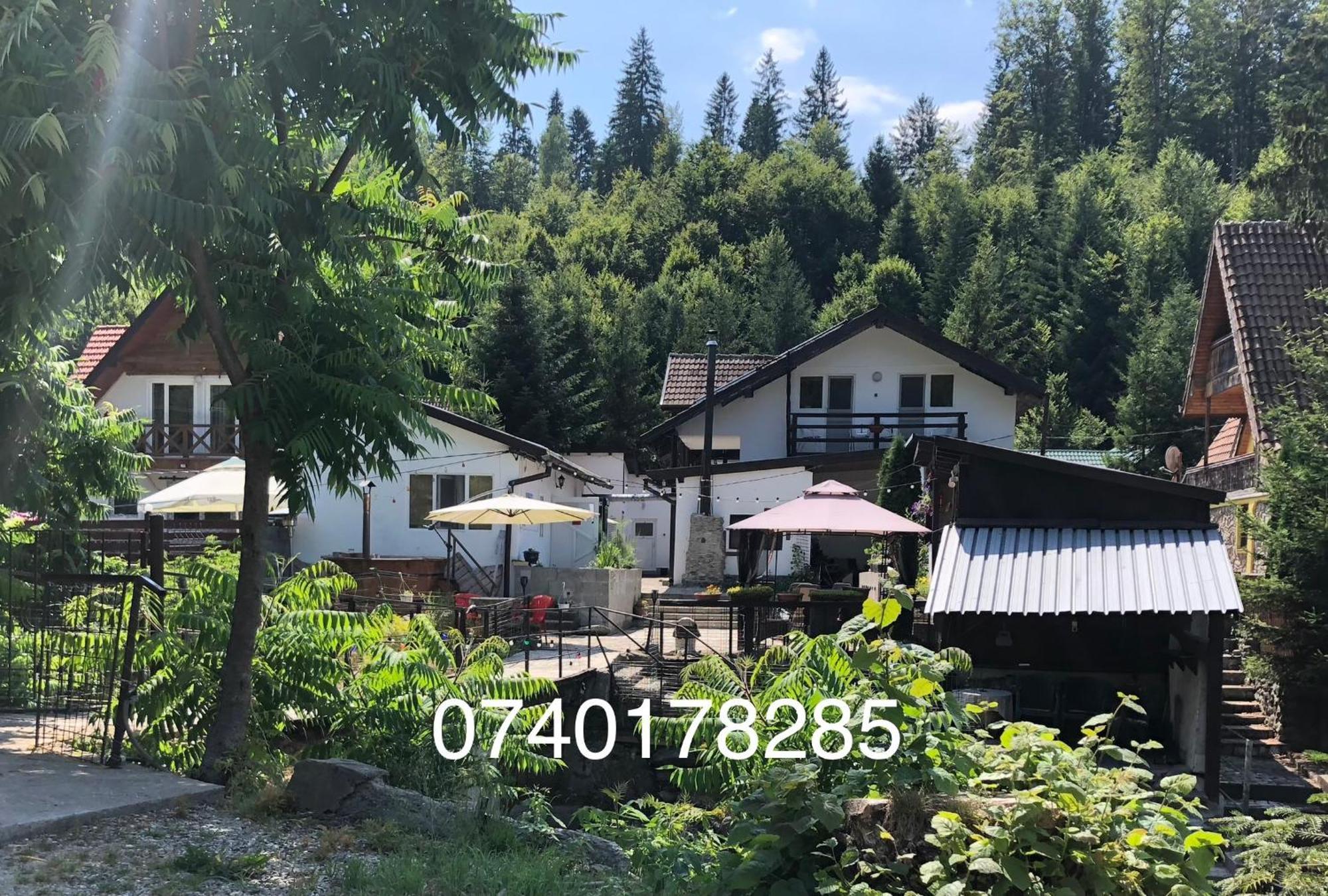 Villa Podul De Brazi - Fir Bridge Cîrţişoara Esterno foto
