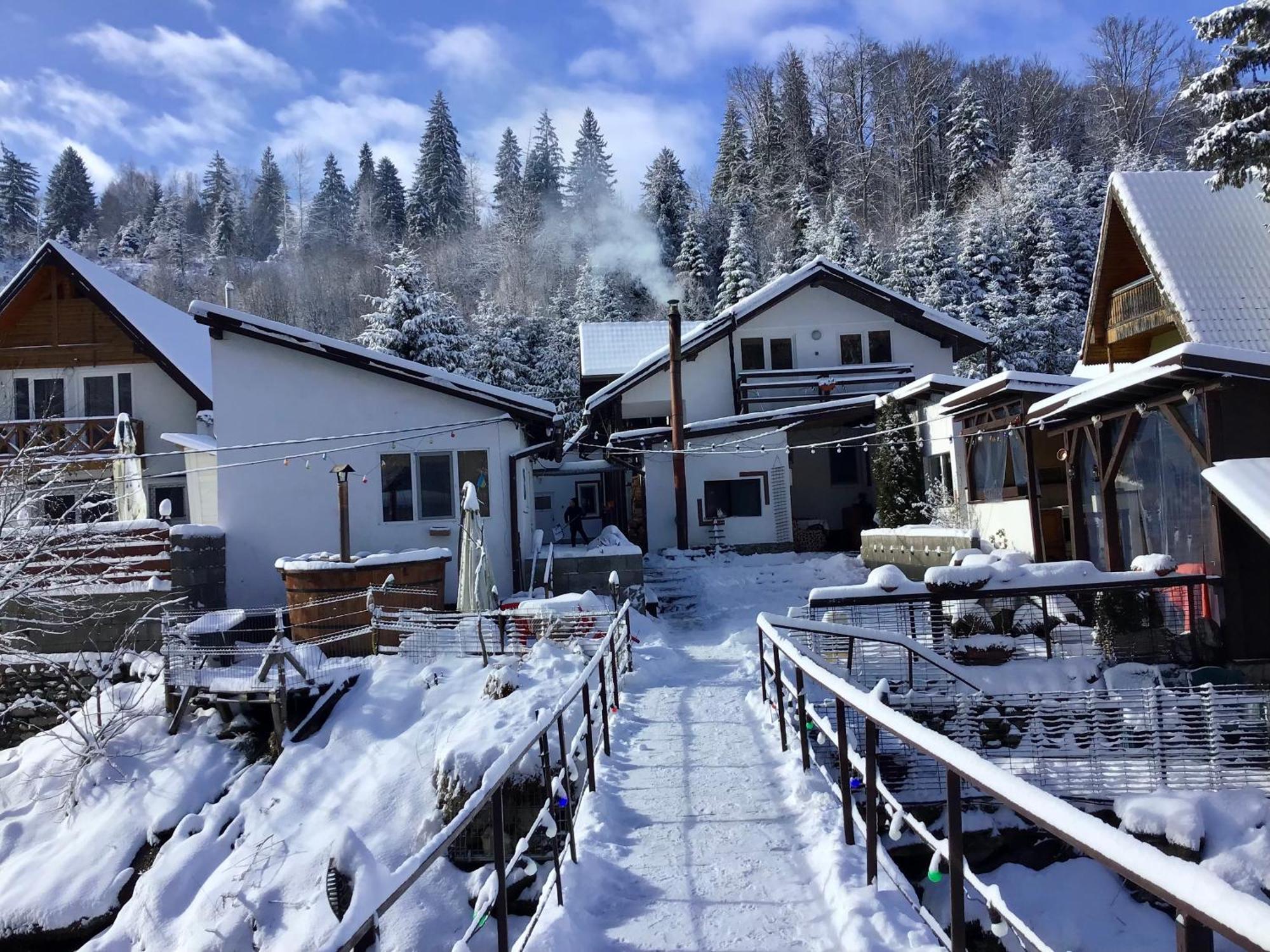 Villa Podul De Brazi - Fir Bridge Cîrţişoara Esterno foto